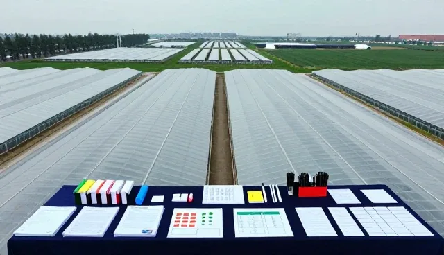 种植技术在现代农业中的实际应用场景与优化路径